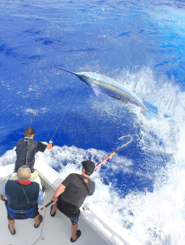 NZ world record