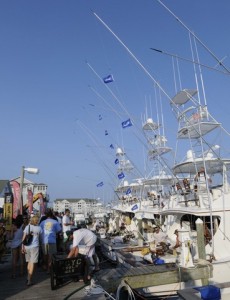 dockshot_flags