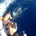 Blue Marlin on Smoker Blue Marlin on Smoker