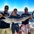 Black Marlin in Exmouth, Australia on On Strike Black Marlin in Exmouth, Australia on On Strike