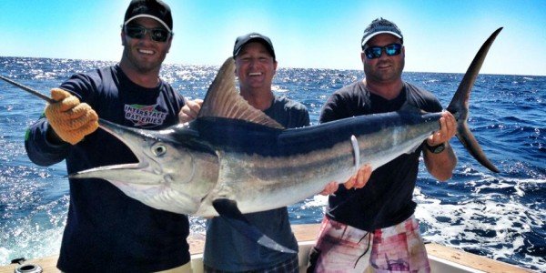 Black Marlin in Exmouth, Australia on On Strike