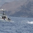 Blue Marlin on Smoker