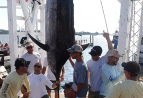Rise Up Wins Emerald Coast