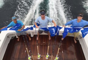 White Marlin Invade Mid-Atlantic