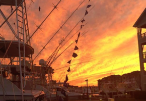 White Marlin Run Starts