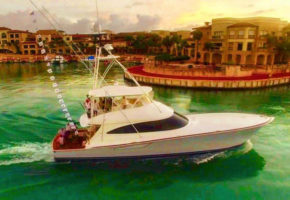 2016 Billfisheries of the Year – #2 Punta Cana