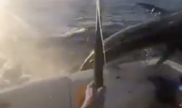 Gold Coast Close Call