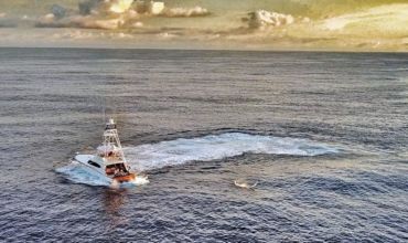 2018 Billfisheries of the Year – #2 Jaco-Quepos