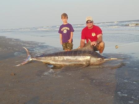 Not something you see every day…a beached marlin!