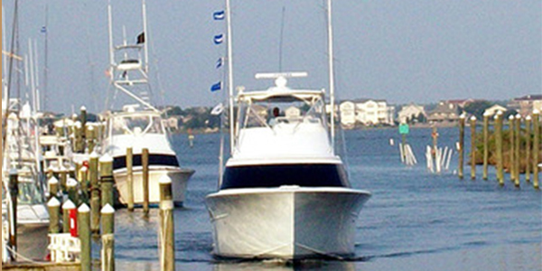 White Marlin Galore out of Pirates Cove, NC