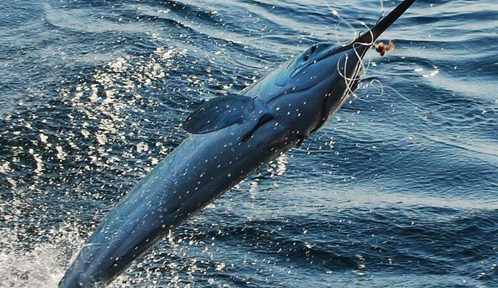 White Out in Ocean City