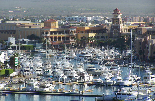 Los Cabos Billfish Tournament