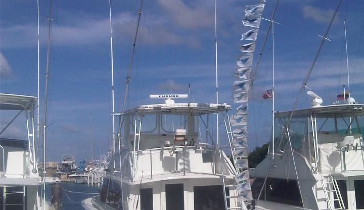 Tremendous Aruba Sailfishing