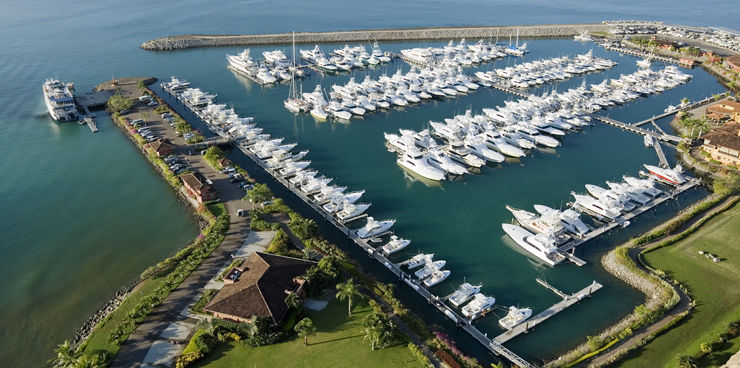 Dragin Fly Wins Los Suenos