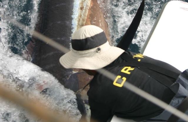 First Marlin in the Cape Verdes