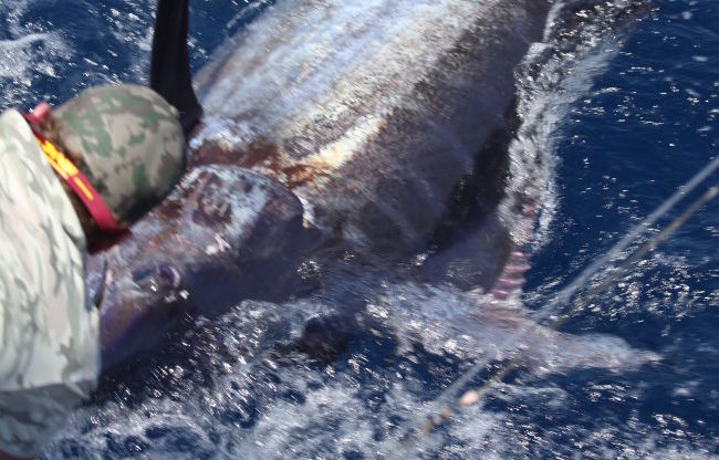 Cape Verdes = En Fuego!