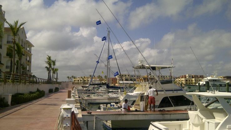 White Flags Flying in the DR