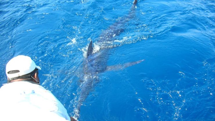 Canary Islands off to a Good Start