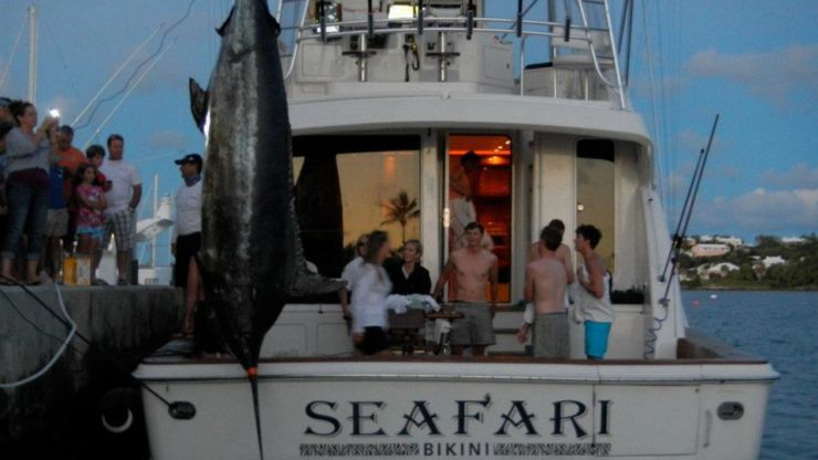 Grander for the Seafari in Bermuda