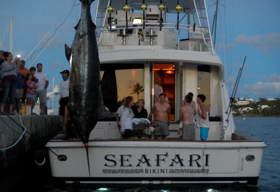 Grander for the Seafari in Bermuda