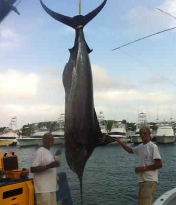 Queen of Hearts Strikes Twice