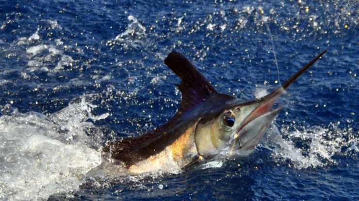 White Out in Ocean City