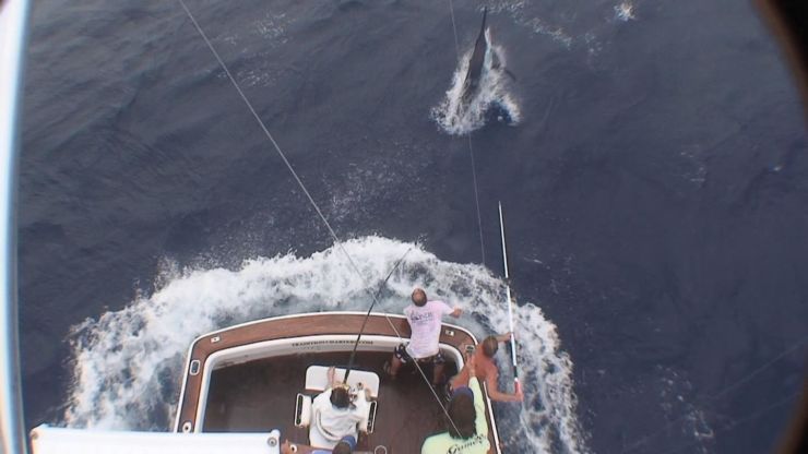 GBR Starting off Well