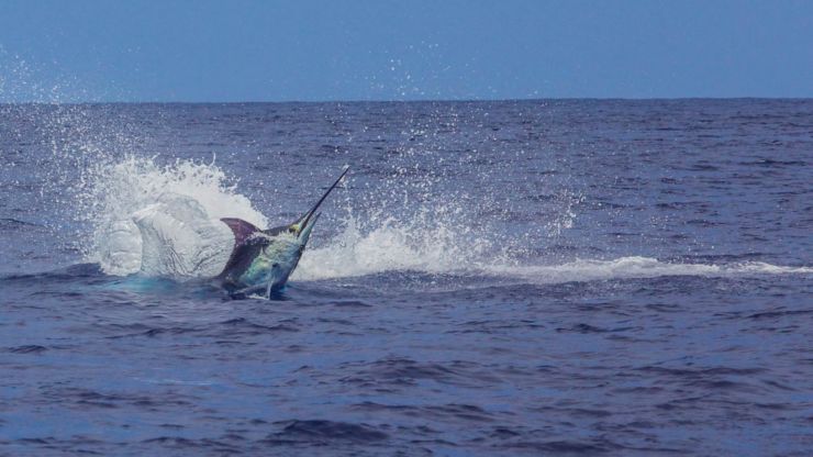 September 500+ Club Round-Up