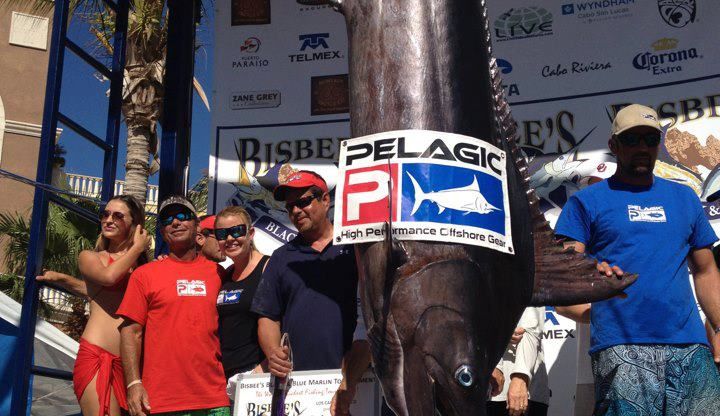 Bisbees $1.4 Million Blue Marlin