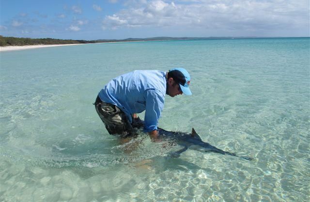 Black Marlin on the Flats