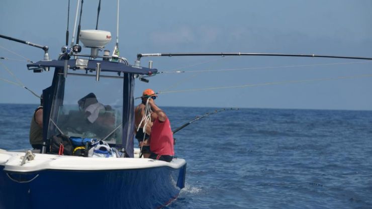 Big Blue – Small Boat