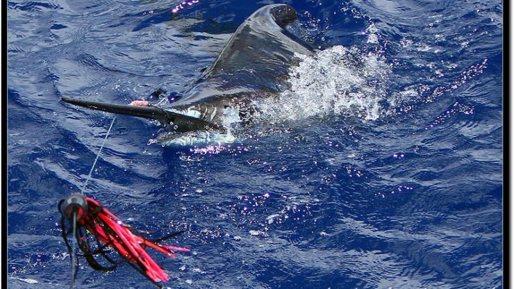 Brazil Starting to Heat Up!