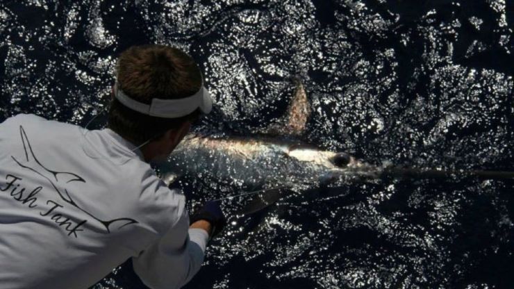 2012 Billfisheries of the Year – #10 South Florida & Keys