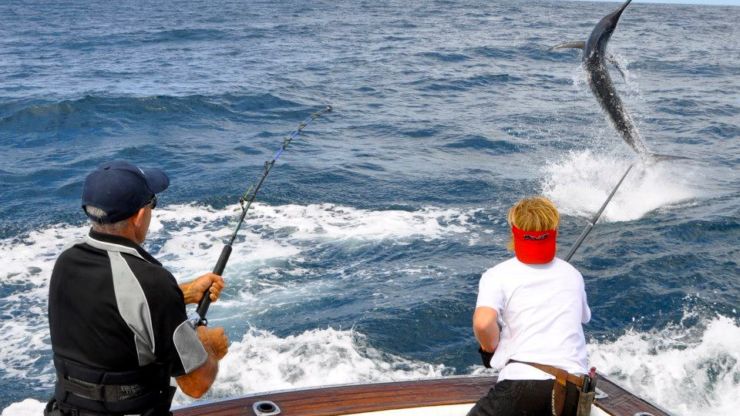 Port Stephen’s Strong Bite