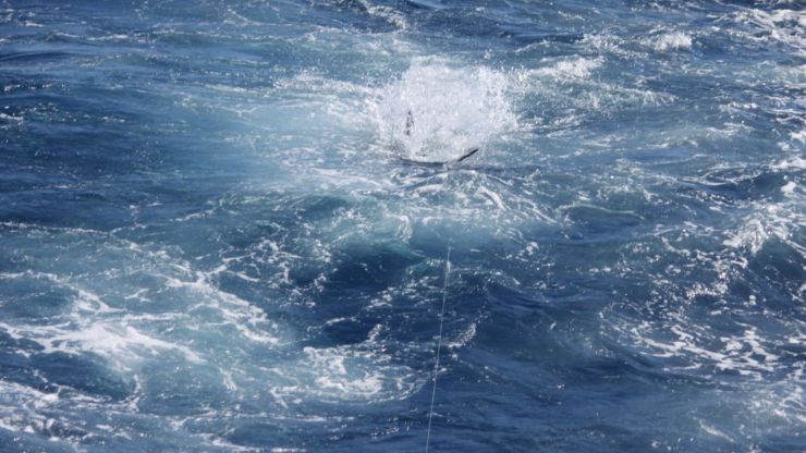 Cape Verdes Waking Up