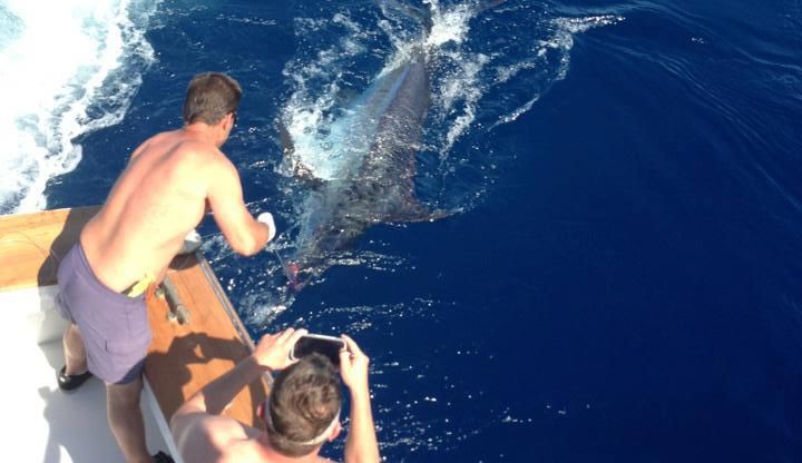 Blues Start in North Carolina