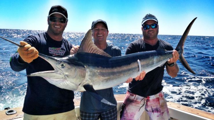 Royal Slam in 26-Days