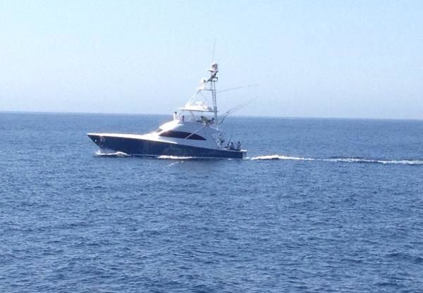 Cabo Striped Marlin Run