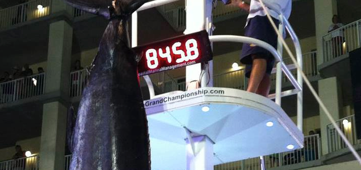 Lightning Strikes Twice in Alabama