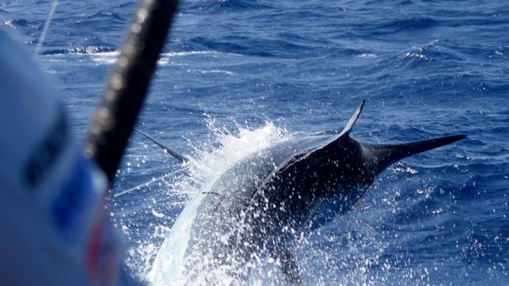 Grander Time on the Reef