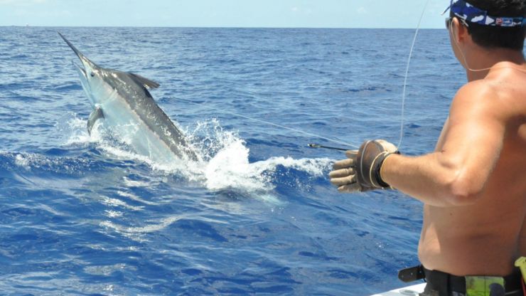 Best Season Ever in Cairns?