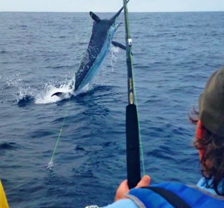 January 2014 – 500+ Club