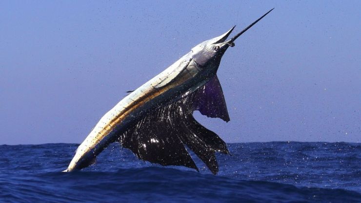 Best Bite of the Season in Guatemala