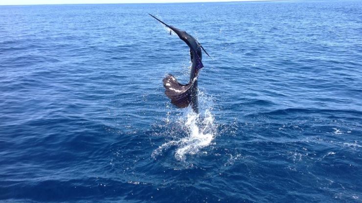 Los Suenos Keeps Going!