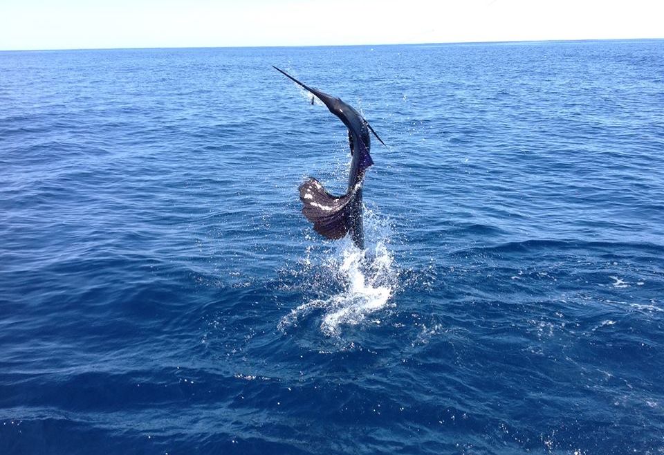 Los Suenos Keeps Going!