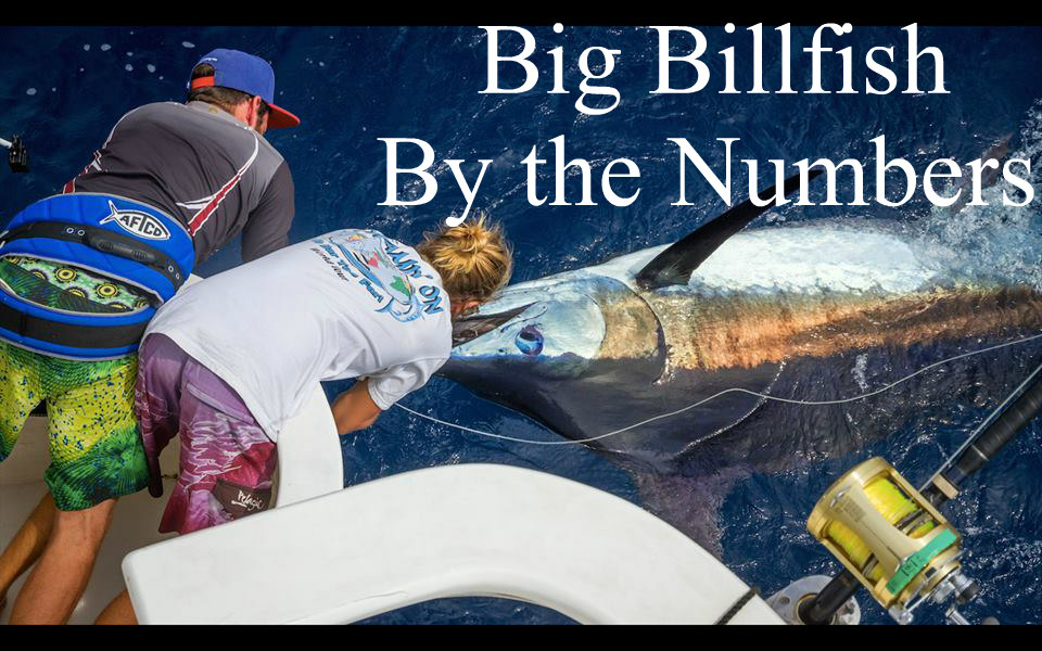 2016 Big Billfish By The Numbers