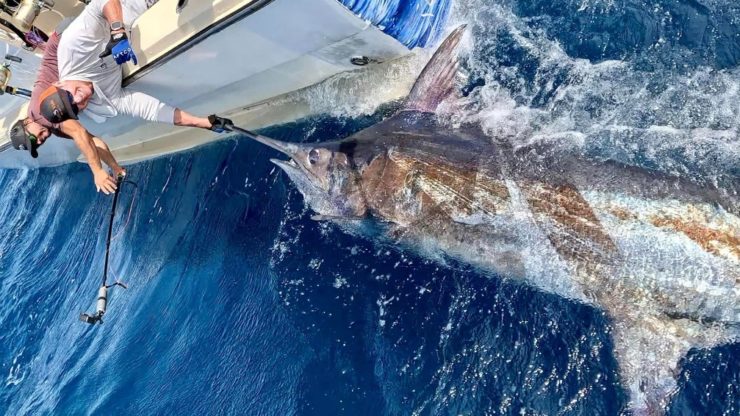 January 2024 – 500+ Club