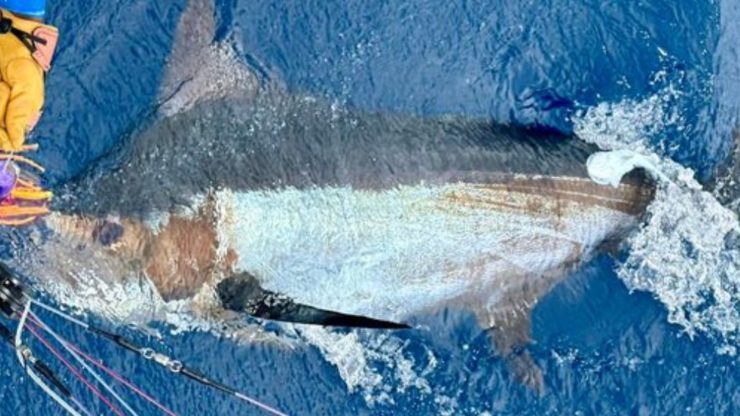 April 2024 – 500+ Club