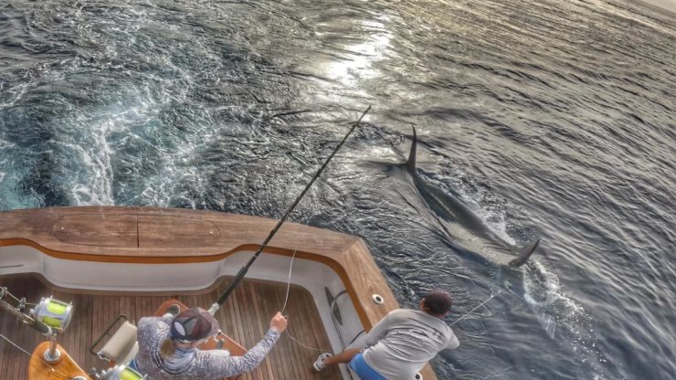 June 2024 – 500+ Club