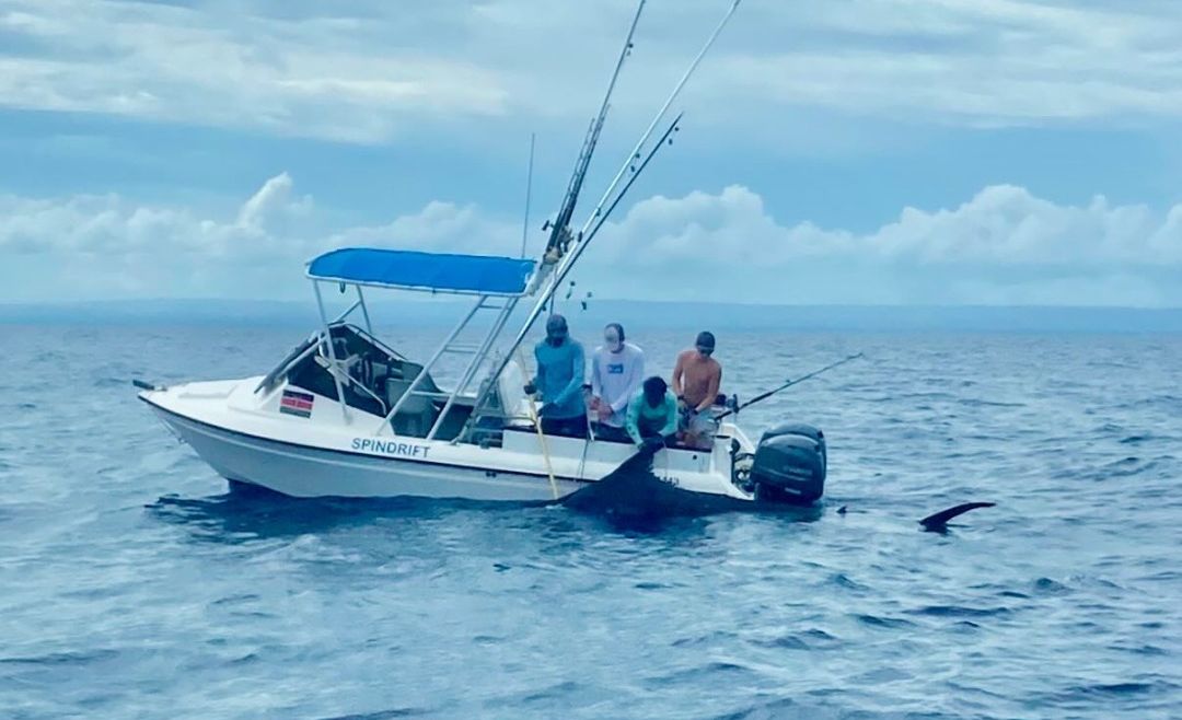 December 2024 – 500+ Club